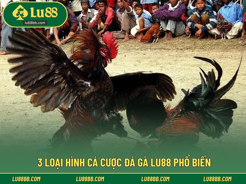 3 loại hình cá cược đá gà LU88 phổ biến