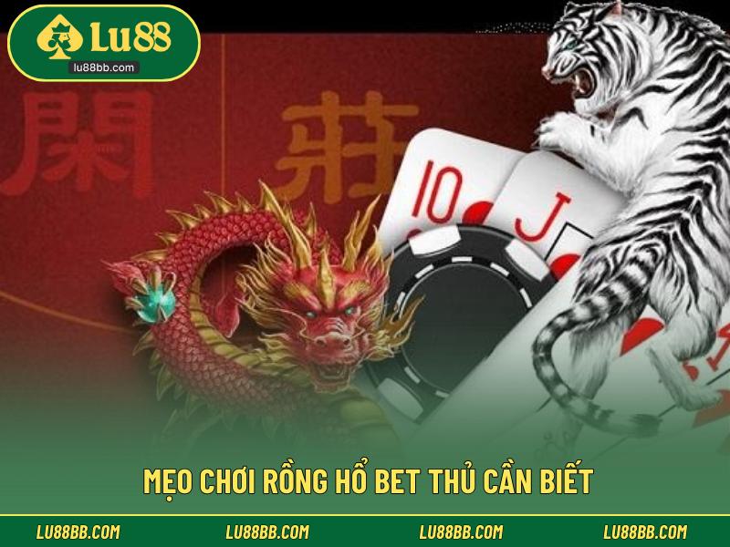 Mẹo chơi rồng hổ bet thủ cần biết