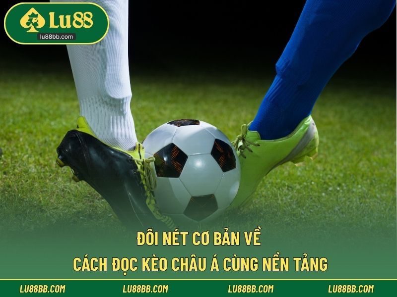 Đôi nét cơ bản về cách đọc kèo Châu Á cùng nền tảng