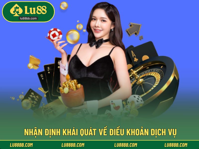 Nhận định khái quát về điều khoản dịch vụ