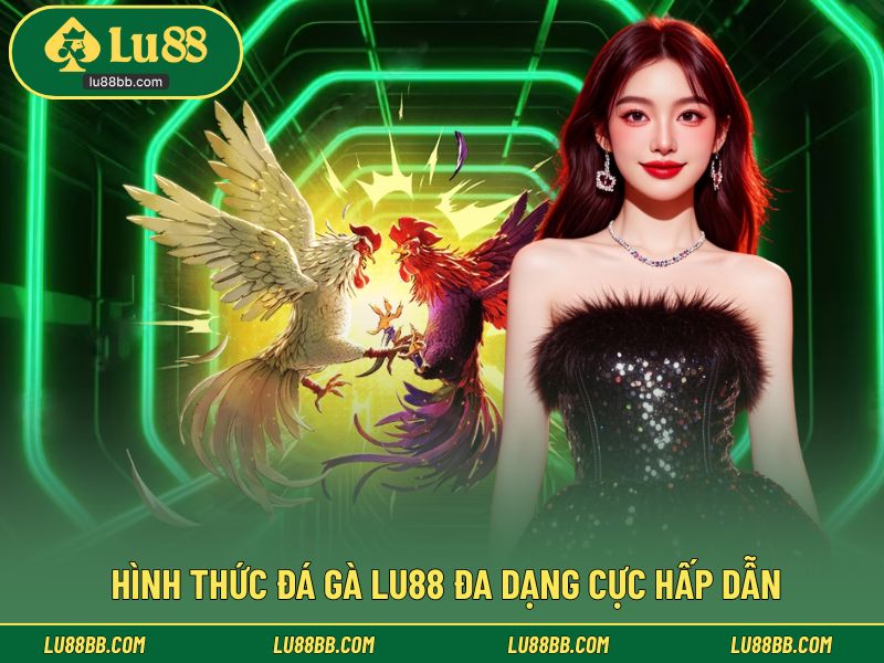 Hình thức đá gà đa dạng cực hấp dẫn